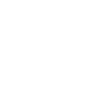 The Aesthetic Society