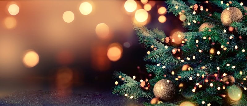 Close up image of a Christmas tree decorated with ornaments.