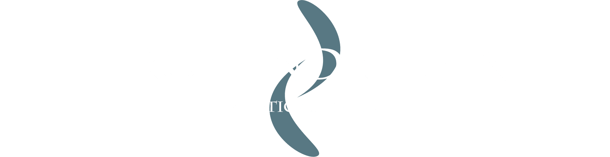 Troy Andreasen Logo